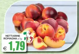 SuperOne Nettarine Romagna offerta