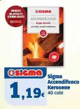 Il Punto Sigma Sigma Accendifuoco Kerosene offerta