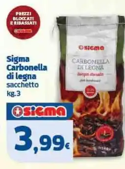 Il Punto Sigma Sigma Carbonella di legna offerta