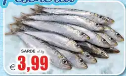 SuperOne Sarde offerta
