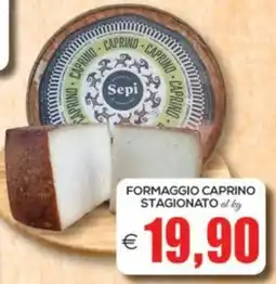 SuperOne Formaggio caprino stagionato Sepi offerta