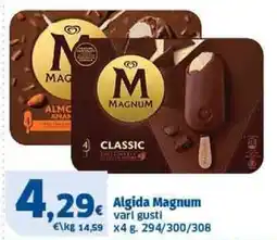 Il Punto Sigma Algida Magnum Classic offerta