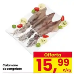 Interspar Calamaro decongelato offerta