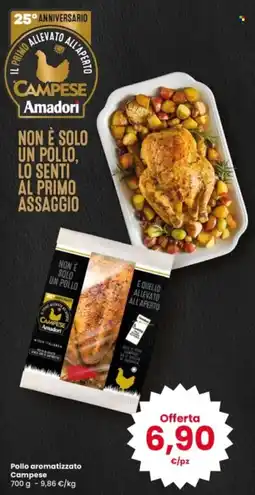 Interspar Pollo aromatizzato Campese offerta