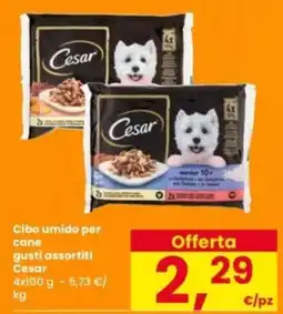 Interspar Cibo umido per cane gusti assortiti Cesar offerta