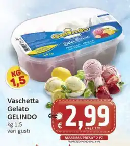 Paghi Poco Vaschetta Gelato Gelindo offerta