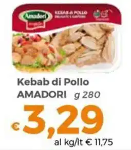 Tocal Kebab di Pollo Amadori offerta