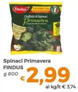 Tocal Spinaci Primavera Findus offerta