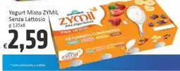 Paghi Poco Yogurt Misto ZYMIL Senza Lattosio offerta
