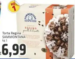 Paghi Poco Torta Regina Sammontana offerta