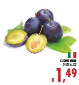 Deco Iperstore Susine nere offerta