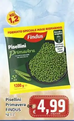 Paghi Poco Pisellini Primavera Findus offerta