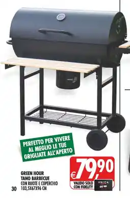Deco Iperstore Green Hour Tano Barbecue offerta