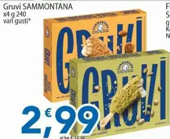 Sidis Gruvi SAMMONTANA offerta