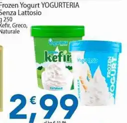 Sidis Frozen Yogurt YOGURTERIA Kefir Naturale offerta