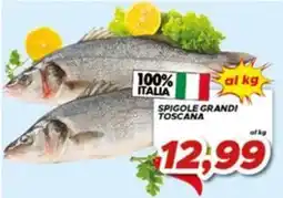 MA Supermercati Spigole grandi Toscana offerta