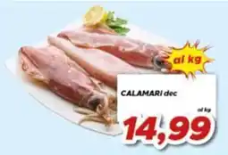 MA Supermercati Calamari dec offerta