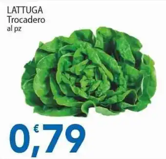 Sidis Lattuga Trocadero offerta