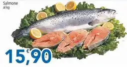 Sidis Salmone offerta