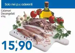 Sidis Calamari Decongelati offerta