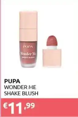 PiùMe Pupa Wonder Me Shake Blush offerta