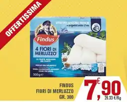 Conté Supermercati Findus Fiori di merluzzo offerta