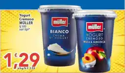 Sidis Yogurt Cremoso Müller offerta