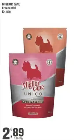Conté Supermercati Miglior cane Croccantini offerta