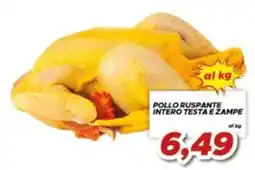 MA Supermercati Pollo ruspante intero testa e zampe offerta