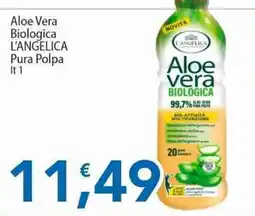 Sidis Aloe vera biologica L'Angelica offerta