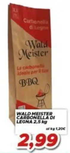 MA Supermercati Wald Meister carbonella di legna offerta