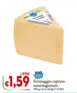 D'Italy Formaggio caprino semistagionato offerta