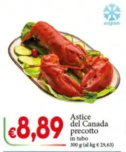 D'Italy Astice del Canada precotto offerta