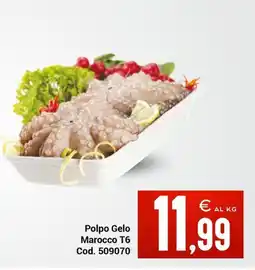 Centro Cash Polpo Gelo Marocco T6 offerta