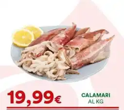 Supermercati Pasquale Prisco Calamari offerta