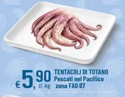 Famila Superstore Tentacoli di totano offerta