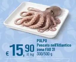 Famila Superstore Polpo offerta