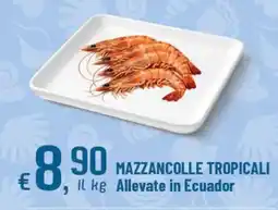 Famila Superstore Mazzancolle tropicali offerta