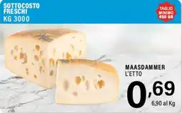 Gecop Maasdammer offerta