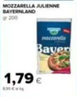 Tigre Amico Mozzarella julienne bayernland offerta