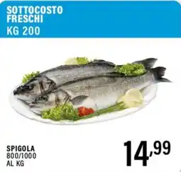 Gecop Spigola offerta