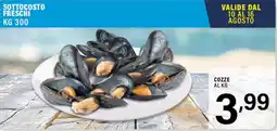 Gecop Cozze offerta