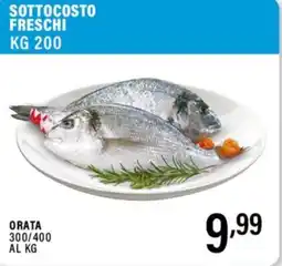 Gecop Orata offerta
