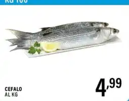 Gecop Cefalo offerta