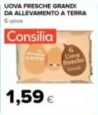 Uova fresche grandi Consilia