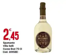 Centro Cash Spumante Villa Selli offerta
