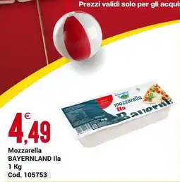 Centro Cash Mozzarella BAYERNLAND Ila offerta