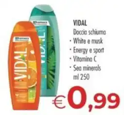 MerSi Supermercati Vidal Doccia schiuma offerta