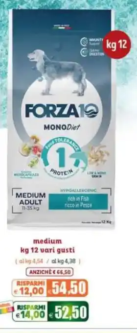 Forza 10 Monodiet