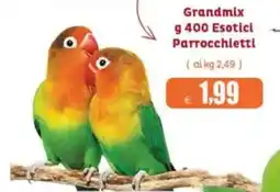 Elite Grandmix Esotici Parrocchietti offerta